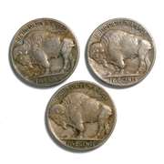 Full Horn 1914 1917 & 1919 Buffalo Nickels