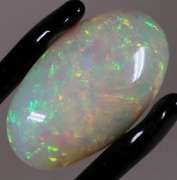 Huge 19.33ct full body flashing Welo Opal