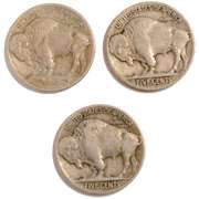 1913 T-1 & T-2 And 1914 Buffalo Nickels