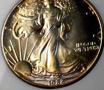 1988 American Silver Eagle, Toning. BU.