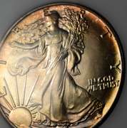 1988 American Silver Eagle, Toning. BU.