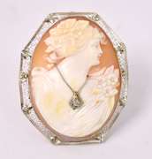 Stunning Cameo Pin/Pendant in 14KT