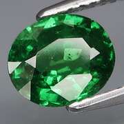 Collectors 1.51ct vivid kelly green Tsavorite Garnet