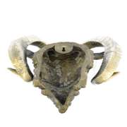 Mascot Ram Head Bronze Sculpture