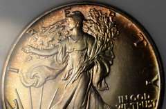 1988 American Silver Eagle, Toning. BU.