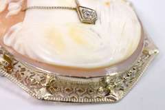 Stunning Cameo Pin/Pendant in 14KT