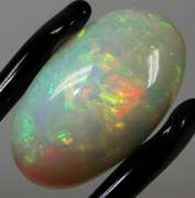 Huge 19.33ct full body flashing Welo Opal