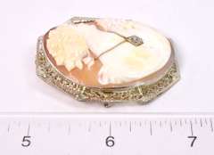 Stunning Cameo Pin/Pendant in 14KT