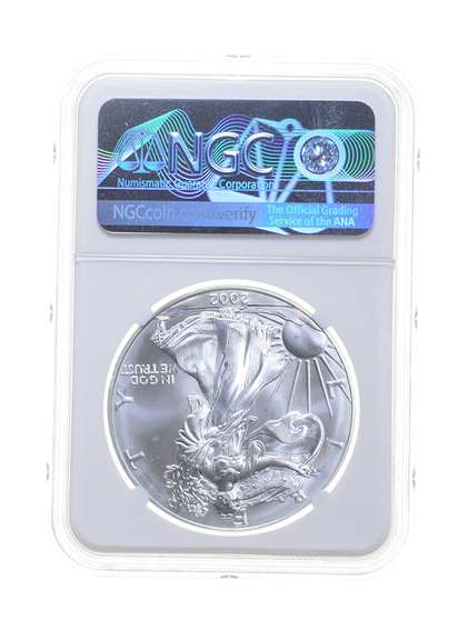 MS69 MINT ERROR 2002 American Silver Eagle - REV Struck Thru - NGC