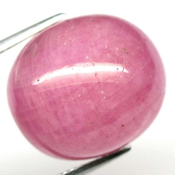 Huge! 33.87ct top pink Ruby cabochon