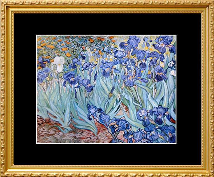 Vincent Van Gogh, Irises