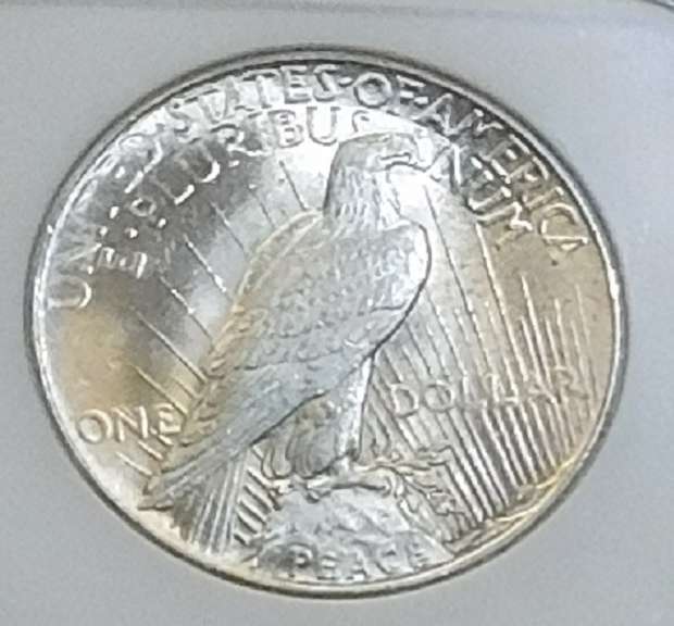 1925 Peace Dol Sil NGC MS-63
