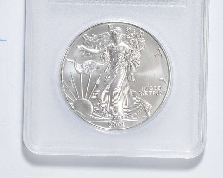 2001 American Silver Eagle - .999 Fine Silver