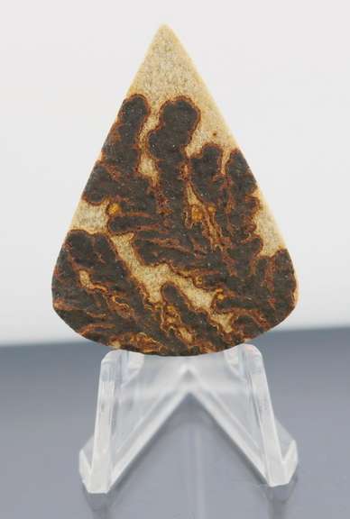 Collectors 56.46ct German Psilomelane Dendrite