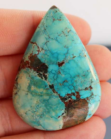 Huge! 81ct well marbled robbins egg blue Turquoise