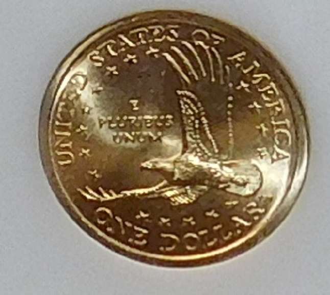 2000-D Sac Dol NGC MS-66 Super Gem