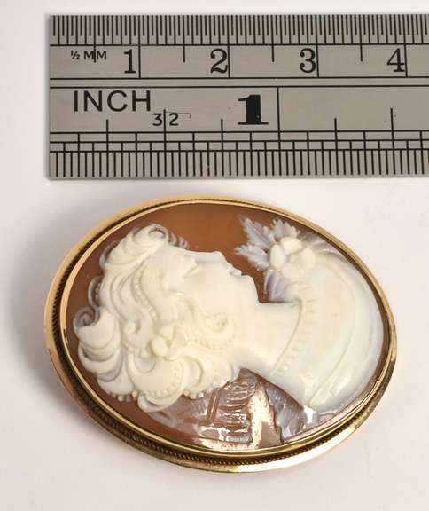 Beautifully Carved Shell Cameo