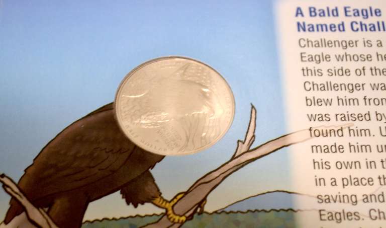 2008 Bald Eagle Young Collector Set