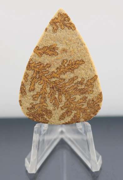 Collectors 60.42ct German Psilomelane Dendrite