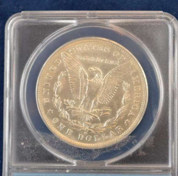 1882-O/S Authentic Morgan