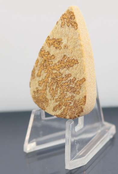 Collectors 60.42ct German Psilomelane Dendrite