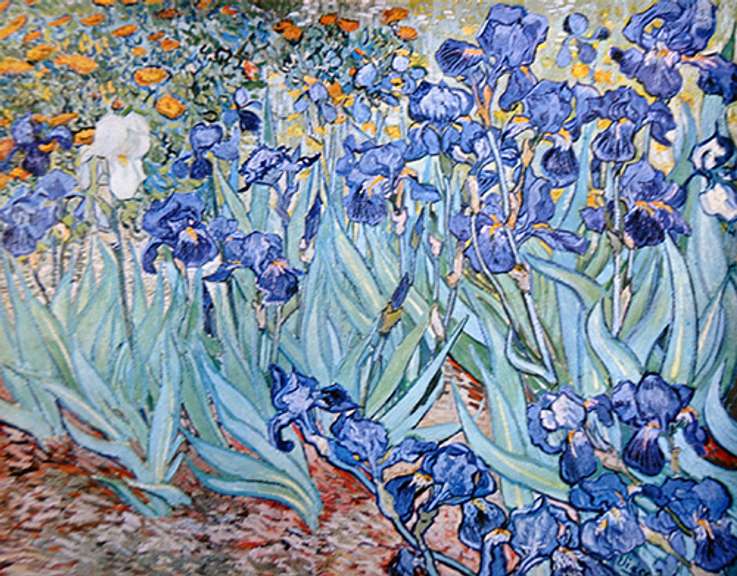 Vincent Van Gogh, Irises