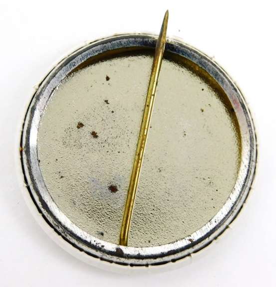 Babe Ruth Sultan of Swat Pin Back