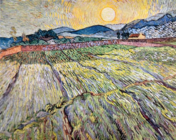 Vincent Van Gogh, Landscape with Ploughed Fields