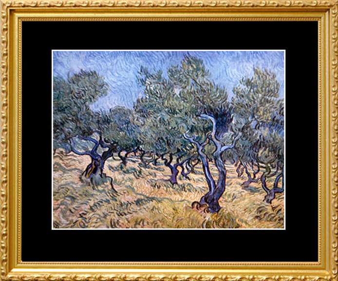 Vincent Van Gogh, Olive Orchard
