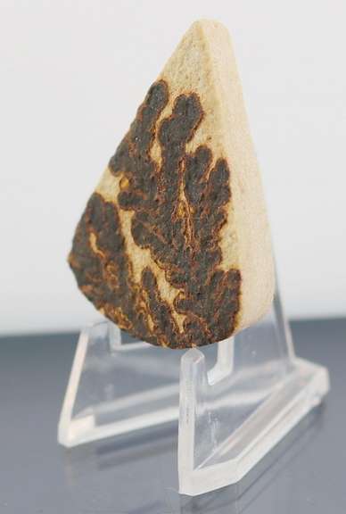 Collectors 56.46ct German Psilomelane Dendrite