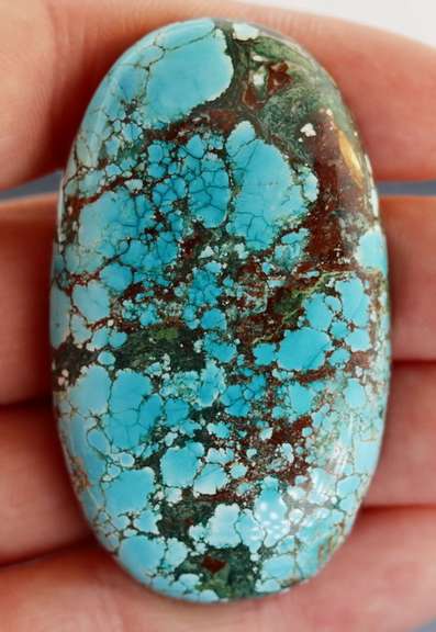 Huge! 156.5ct well marbled robbins egg blue Turquoise