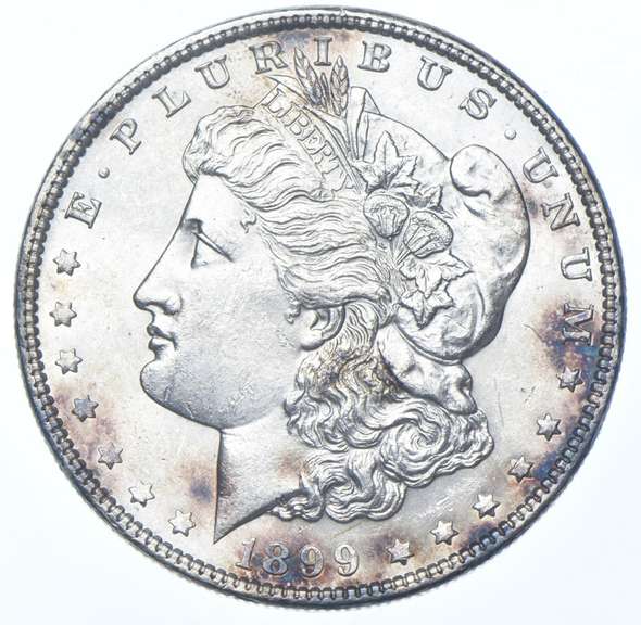 1899 Morgan Silver Dollar