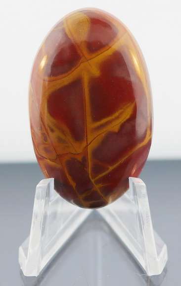 Striking 53.61ct Australian Noreena Jasper