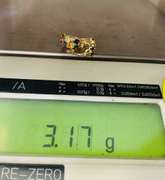 14kt Gold & Sapphire Earrings