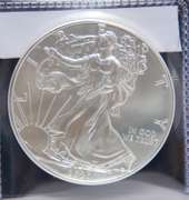 1oz Silver Eagle 2020