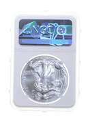 MS69 MINT ERROR 2002 American Silver Eagle - REV Struck Thru - NGC