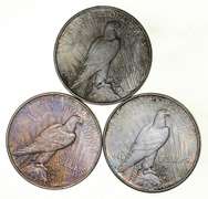 Lot (3) 1934-D Peace Silver Dollars - Beautiful Tone
