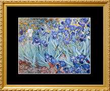 Vincent Van Gogh, Irises