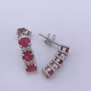 14kt Gold, Ruby, & Diamond Earrings
