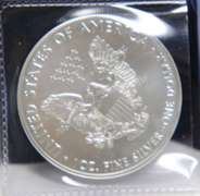 2020 Silver Eagle
