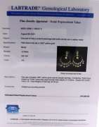 Masterpiece 18kt Polki Diamond and Ebamel open Dangle Earrings