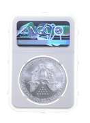 MS67 MINT ERROR 2000 American Silver Eagle - REV Struck Thru - NGC