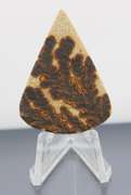Collectors 56.46ct German Psilomelane Dendrite