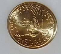 2000-D Sac Dol NGC MS-66 Super Gem