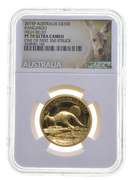 PF70UCAM 2015-P Australia $100 Gold Kangaroo 1 Oz .999 Fine Gold - NGC