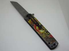 Snake Eye Tactical Spring Assist Knife