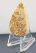 Collectors 60.42ct German Psilomelane Dendrite
