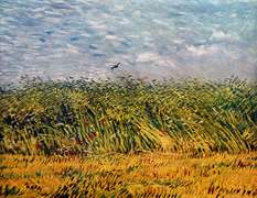 Vincent Van Gogh, A Wheat Field
