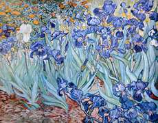 Vincent Van Gogh, Irises