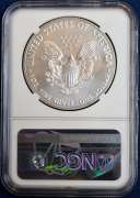 2020 American Silver Eagle NGC MS70 First Releases.